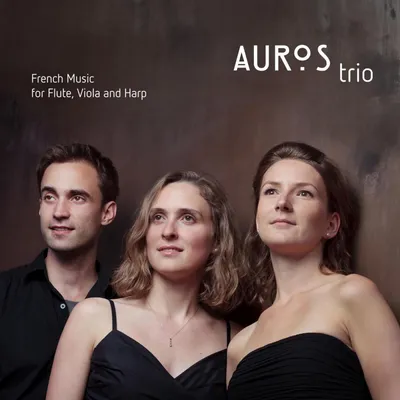 Foto Artist Aidos Trio
