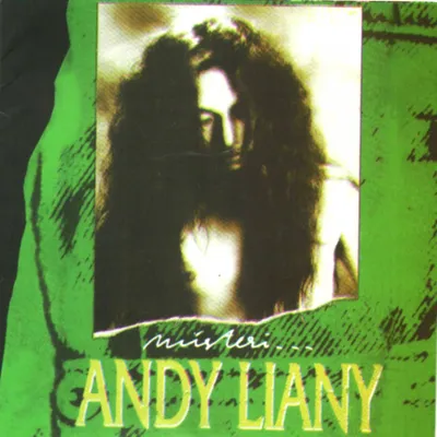Andi Liani
