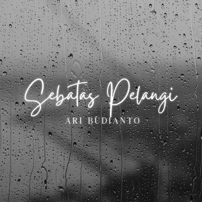 Ari Budianto