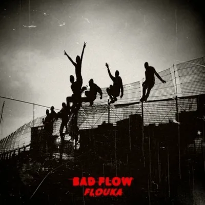 Bhi Flow