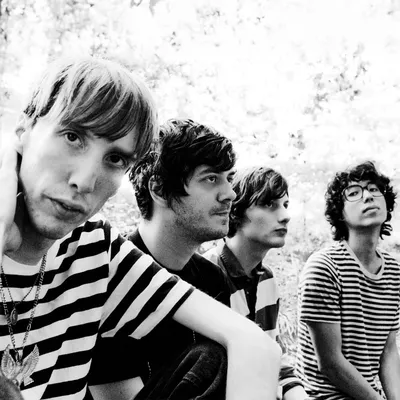 Foto Artist Deerhunter