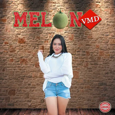Denik Armila