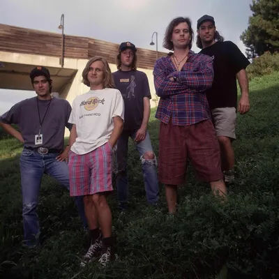 Foto Artist Gin Blossoms