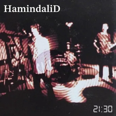 Hamindalid