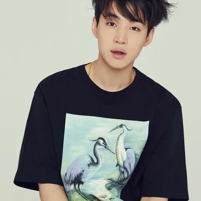 Henry (헨리)