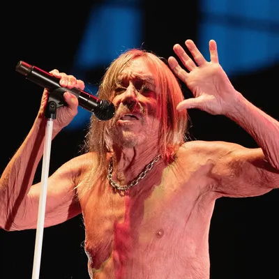 Foto Artist Iggy Pop