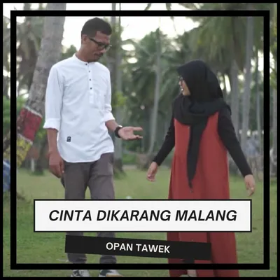 Opan Tawek