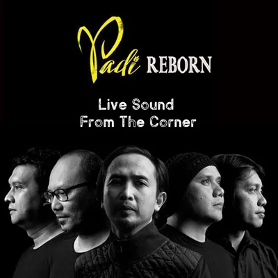 Padi Reborn