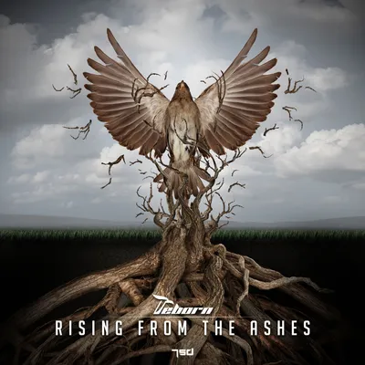 Ambyar Album Art