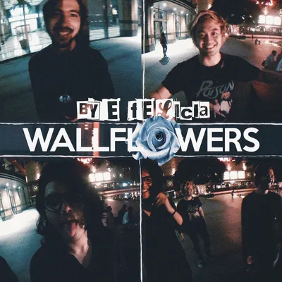 Wallflowers