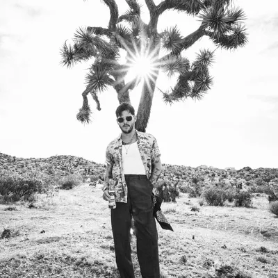 Foto Artist Wavves